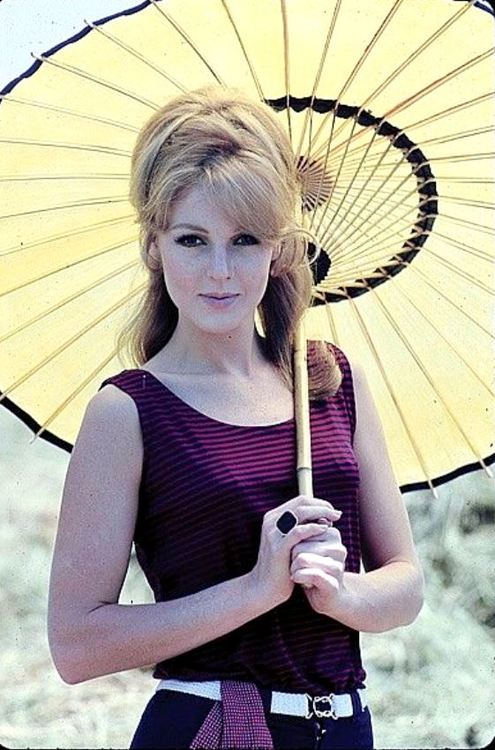 20 Year Old Candice Bergen 1966 NSF