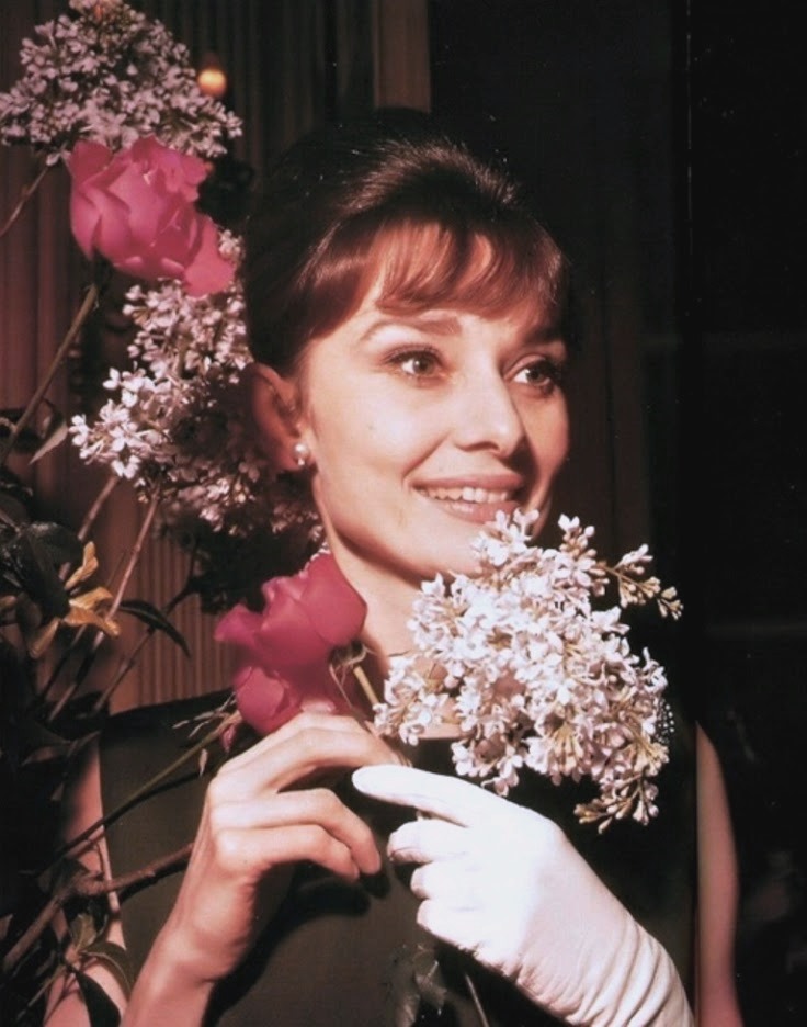 20th Millennium Club Audrey Hepburn NSFW