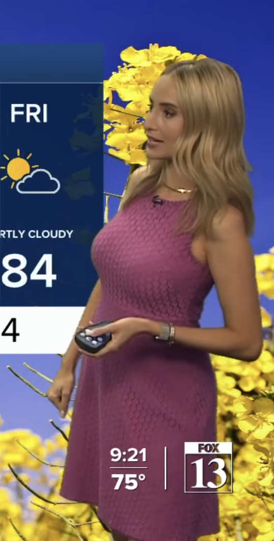 Allison Croghan Fox13 Weather Big Tit