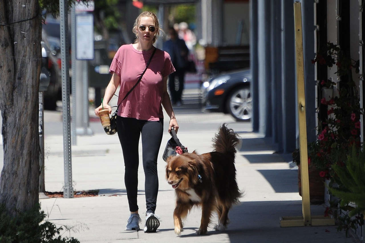Amanda Seyfrieds Massive Mommy Boobs Were Never Given Enough Attention NSF