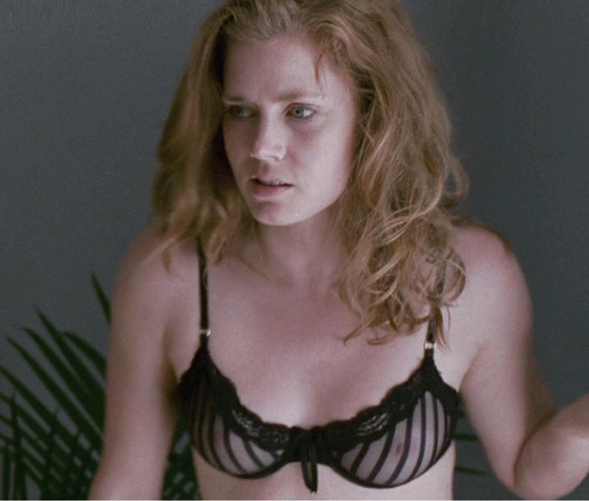 Amy Adams See Through Bra NSFW