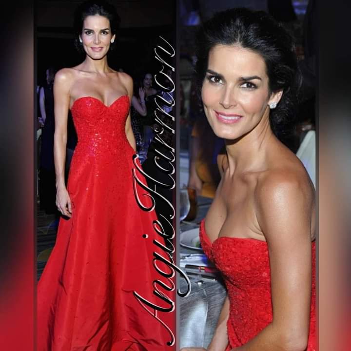 Angie Harmon Cleavag