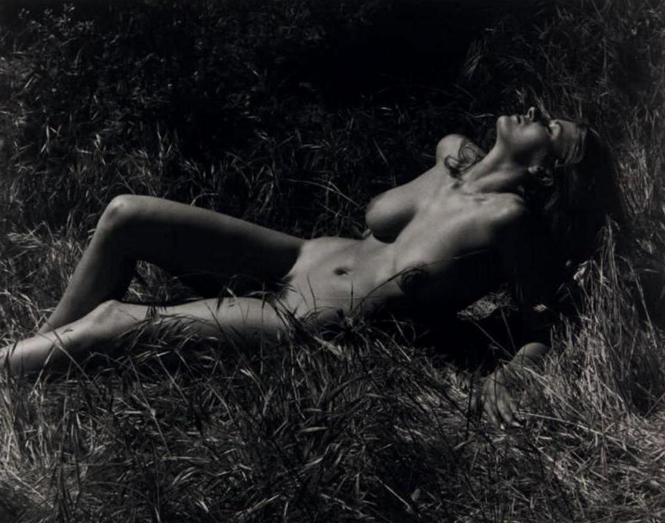 Anita Ekberg In The Grass NSF