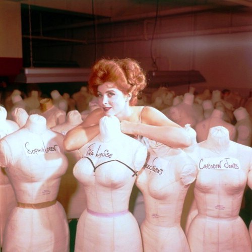 Apparently Tina Louise Was Just A Little Bit Bustier Than Sophia Loren NSF