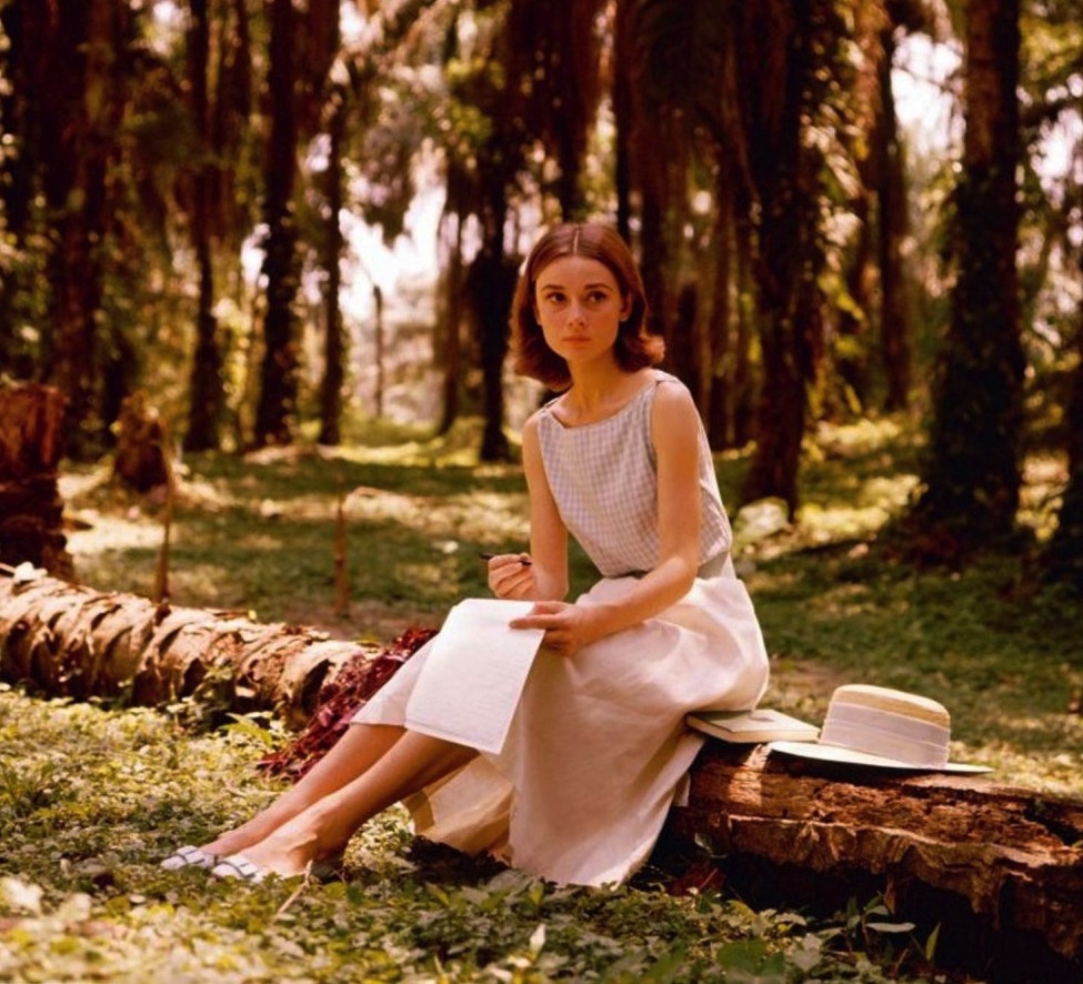 Audrey Hepburn Writing A Letter In A Palm Grove 1955 NSF