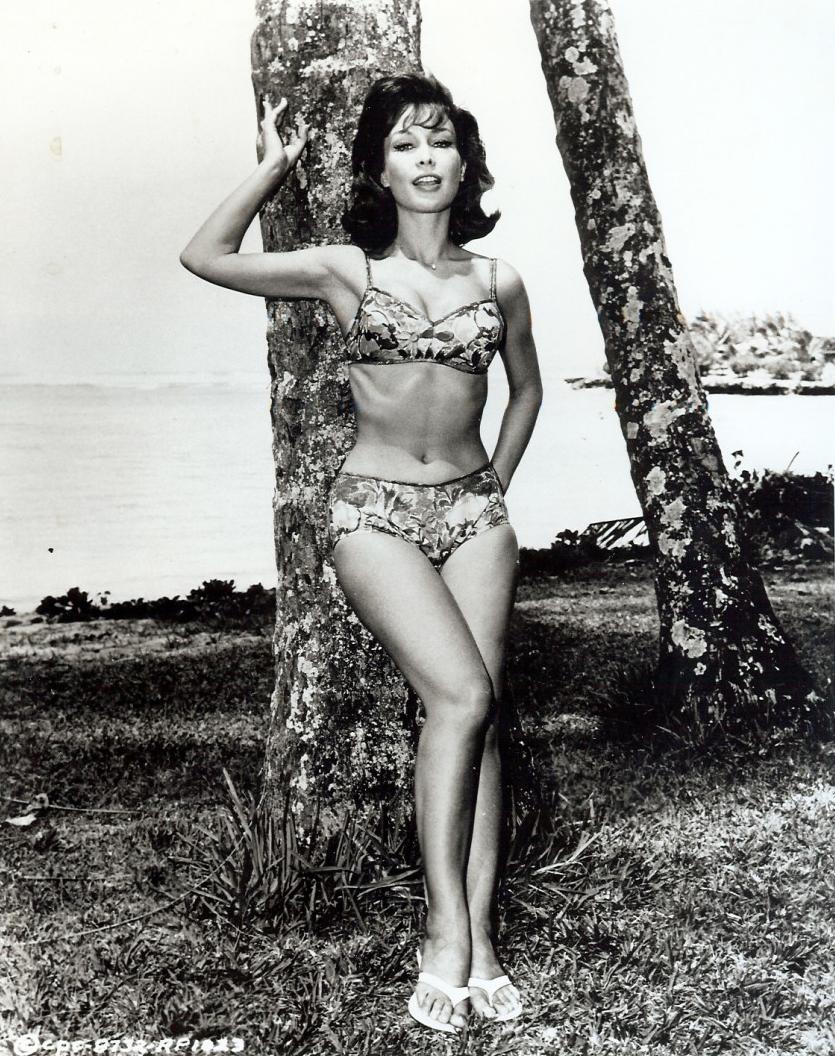 Barbara Eden In The Film Ride The Wild Surf 1964 NSF