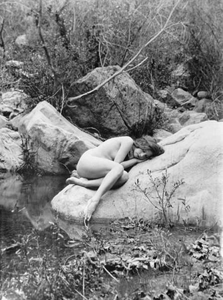 Bessie Love Photographed By Edwin Bower Hesser C 1921 NSF