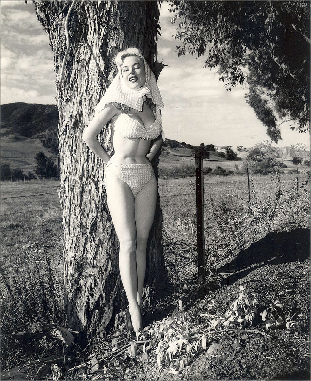 Betty Brosmer NSFW