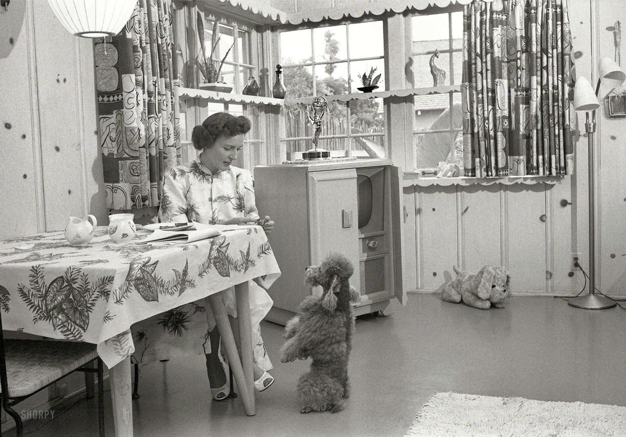 Betty White At Home With Her Dog Los Angeles California 1952 NSF