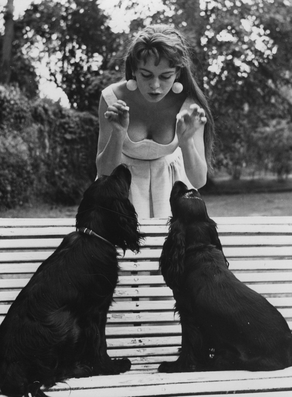 Brigitte Bardot Dog Lover NSF