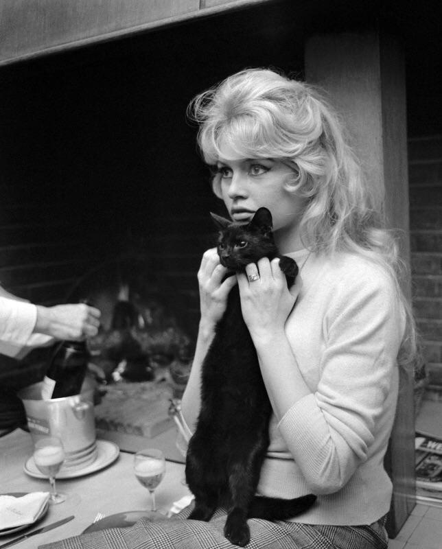 Brigitte Bardot Holding Her Cat Up 1959 NSF