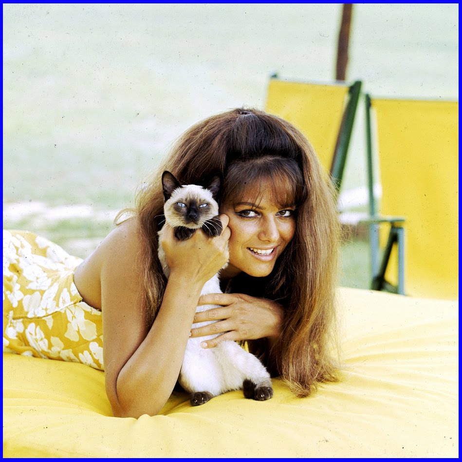 Claudia Cardinale NSFW