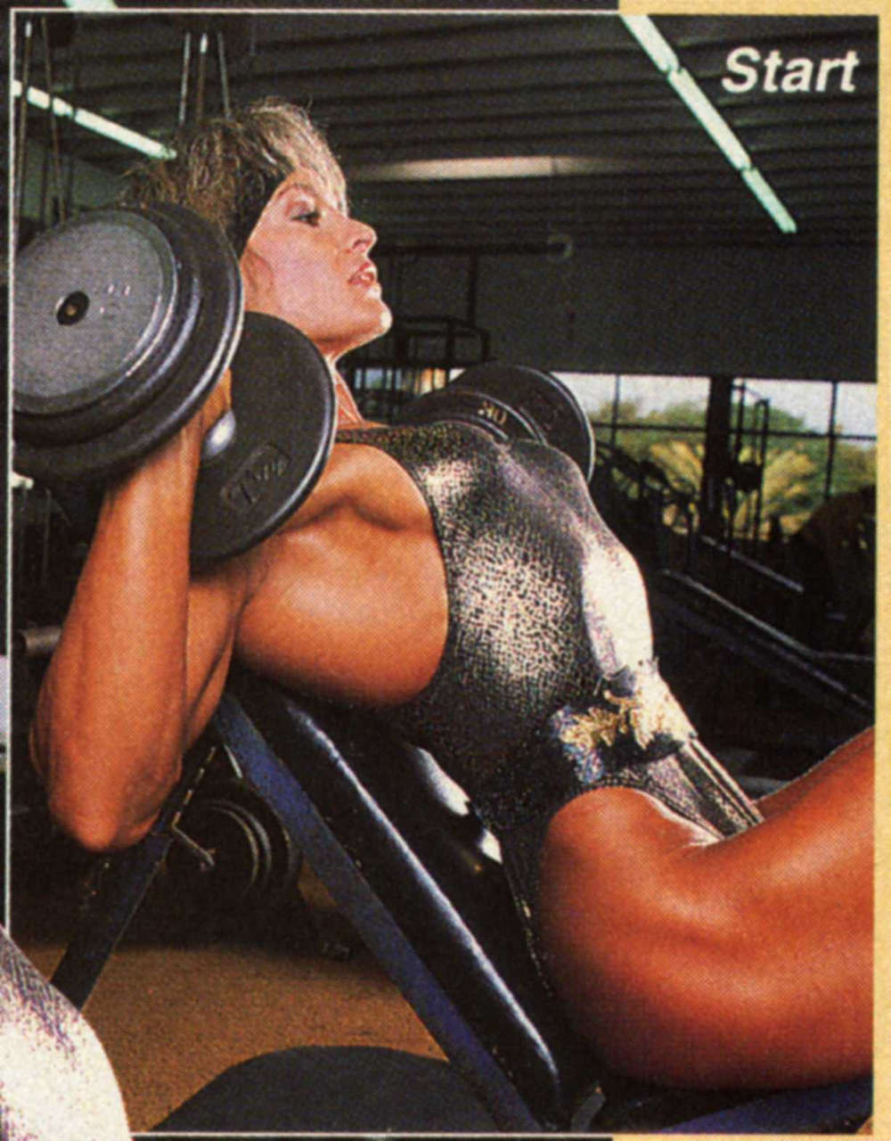 Cory Everson Muscles