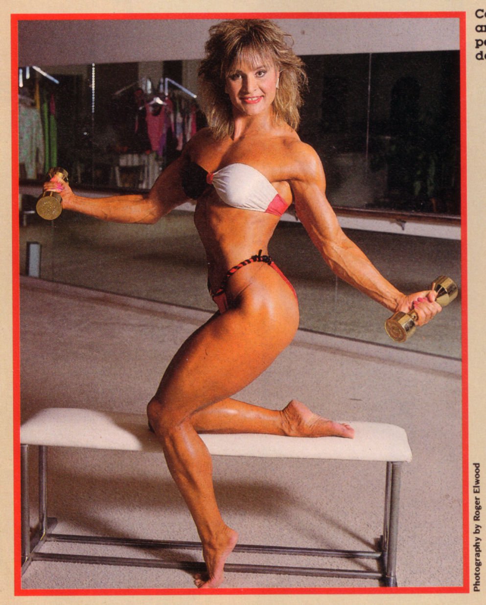 Cory Everson Muscles