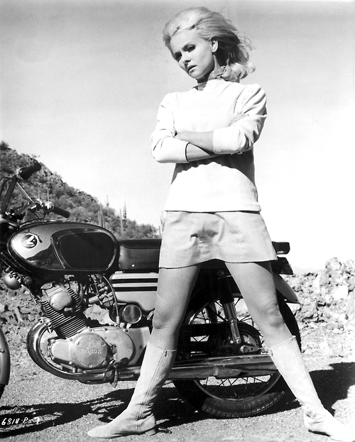 Diane Mcbain The Mini Skirt Mob 1968 NSF