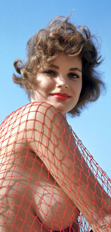 Eleanor Bradley Playboy Magazines Miss February 1959 NSF