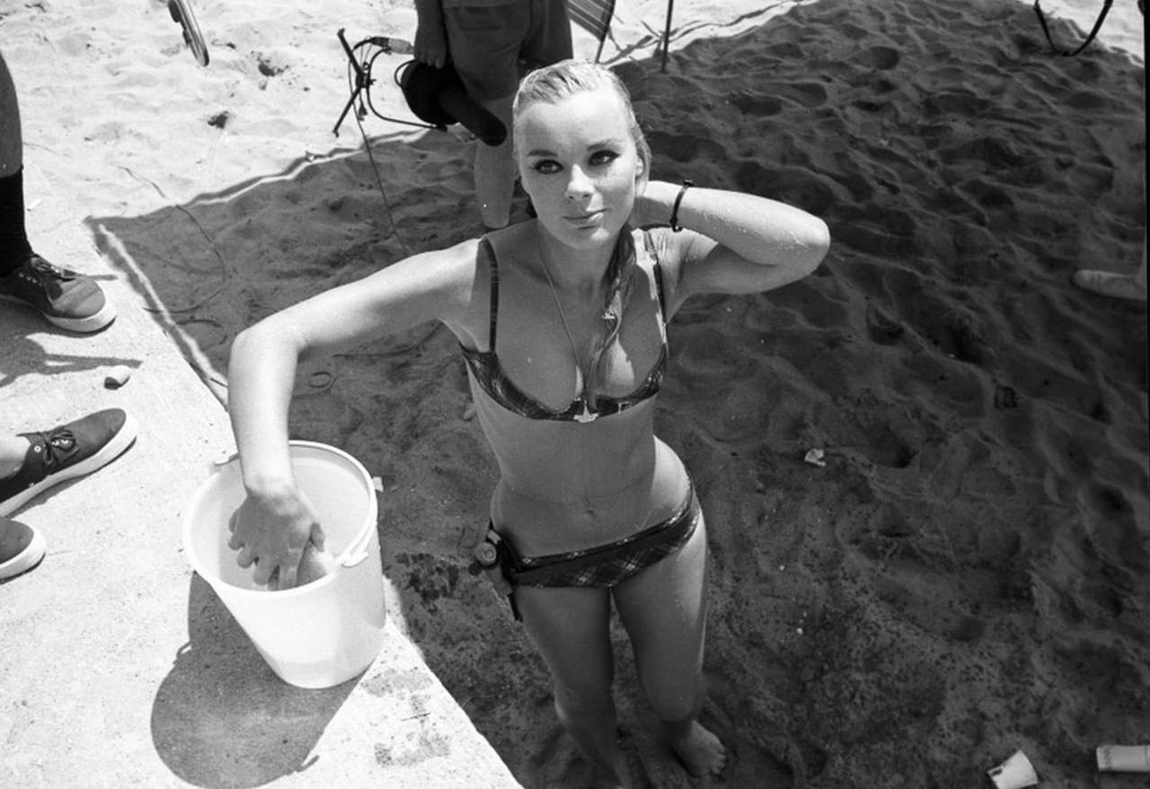 Elke Sommer NSFW