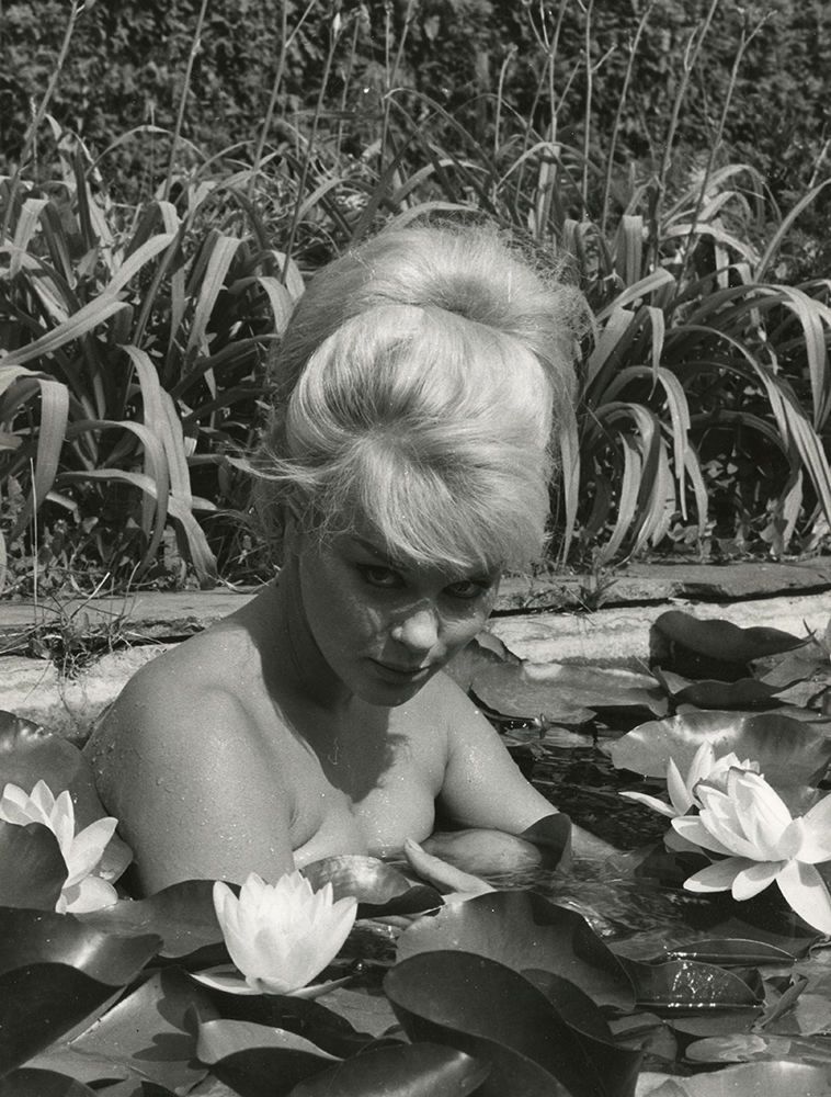 Elke Sommer NSFW