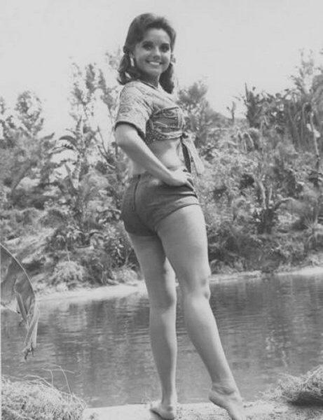 I See Your Tina Louise And I Raise You A Dawn Wells NSF