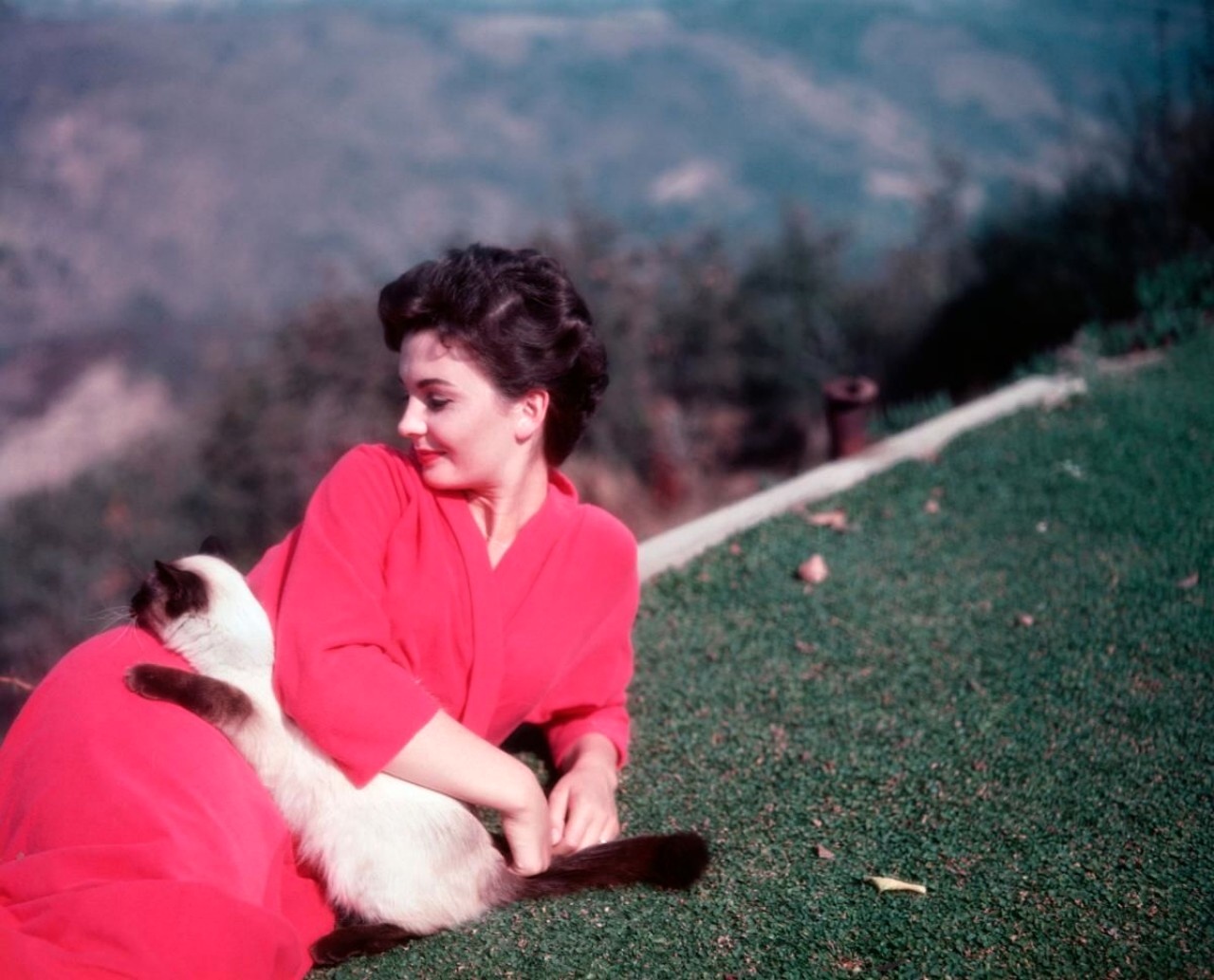 Jean Simmons NSFW