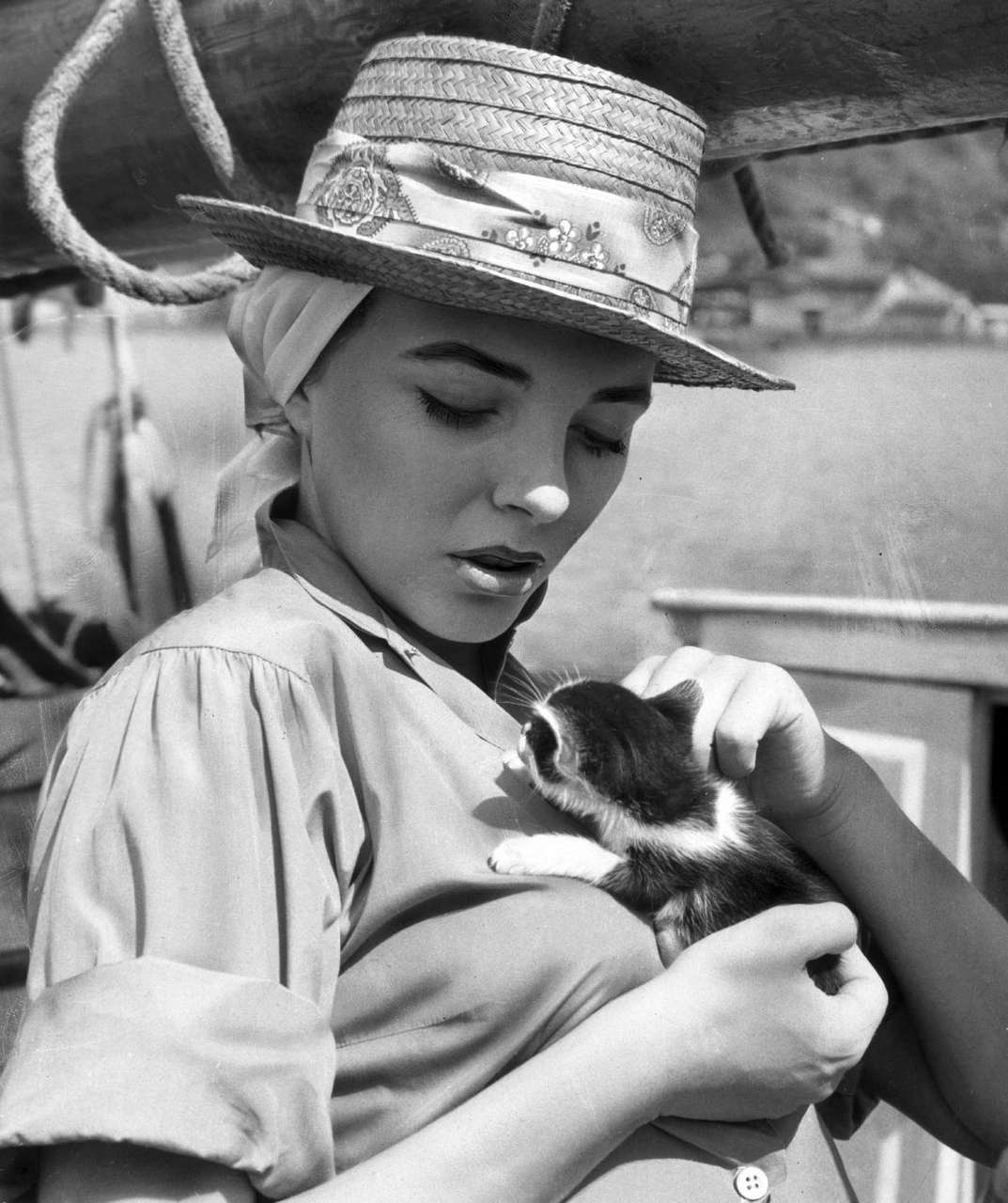 Joan Collins And A Kitten 1957 NSF