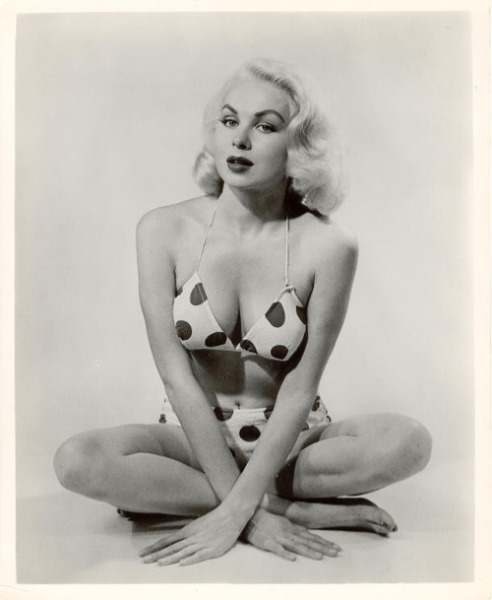 Joi Lansing Album NSFW