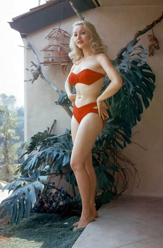 Julie Newmar 50s NSF