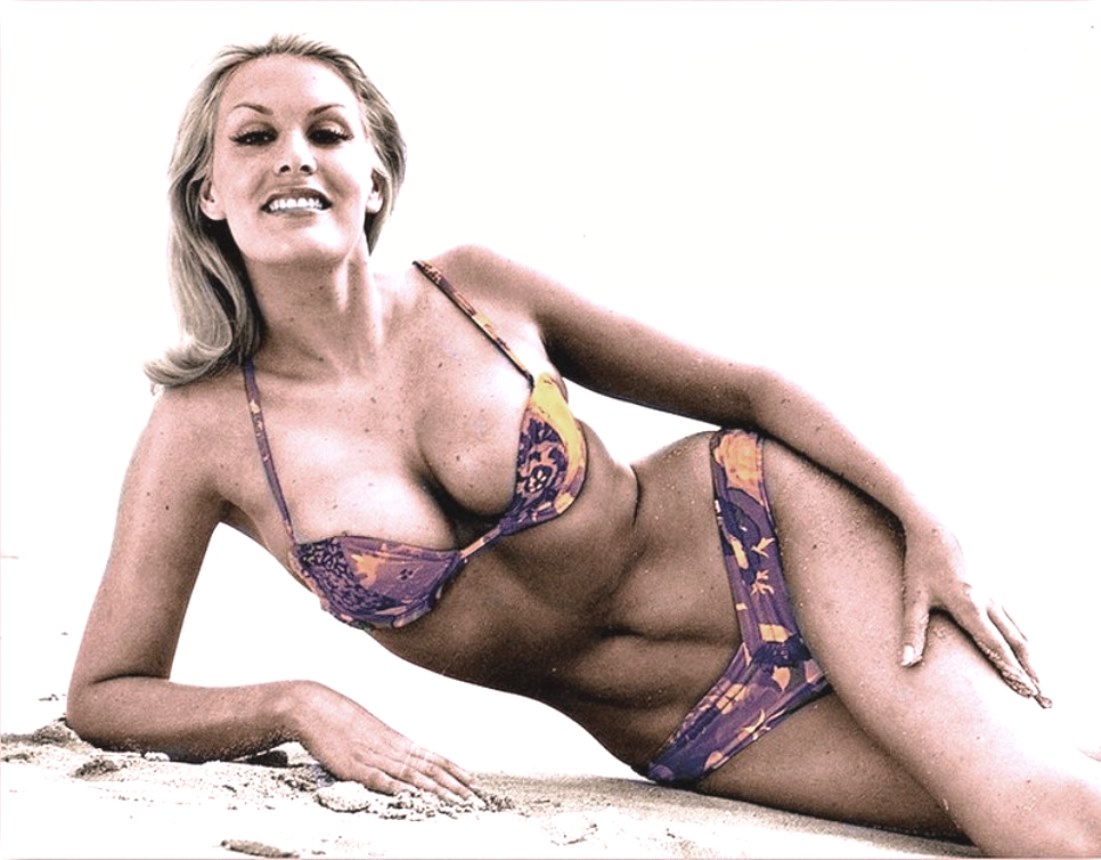 June Wilkinson 1960s Pin Up NSF