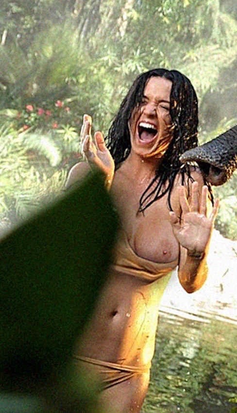 Katy Perry Tit Slip NSFW