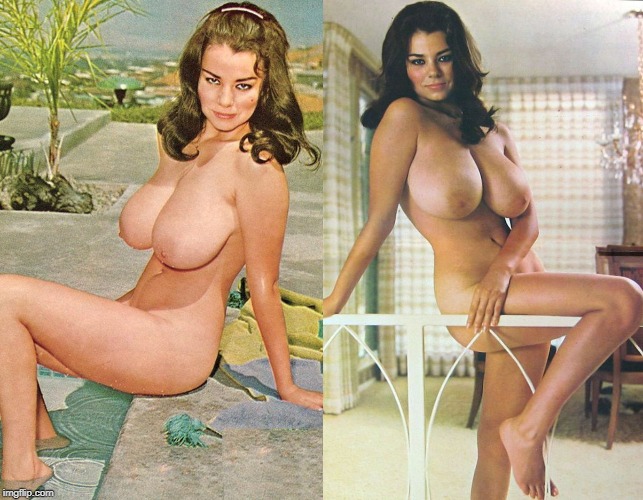 Lane Weldon Born 1947 Was An American Pin Up Model In The Late 1960s And Early 1970s NSF