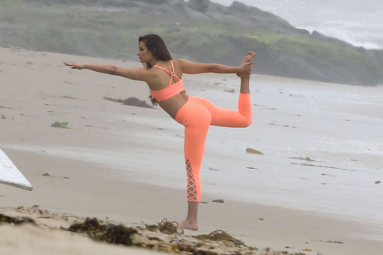 Lea Michele Ass