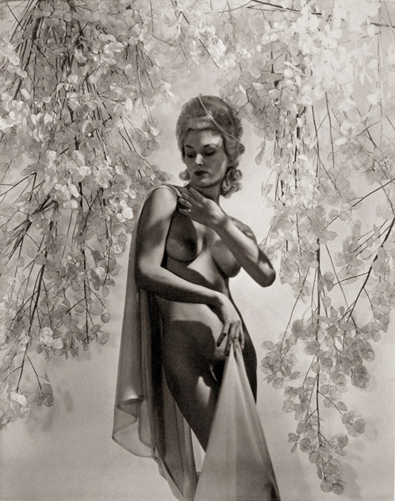 Lisa With The Money Plant Photographed By Horst P Horst 1939 NSF