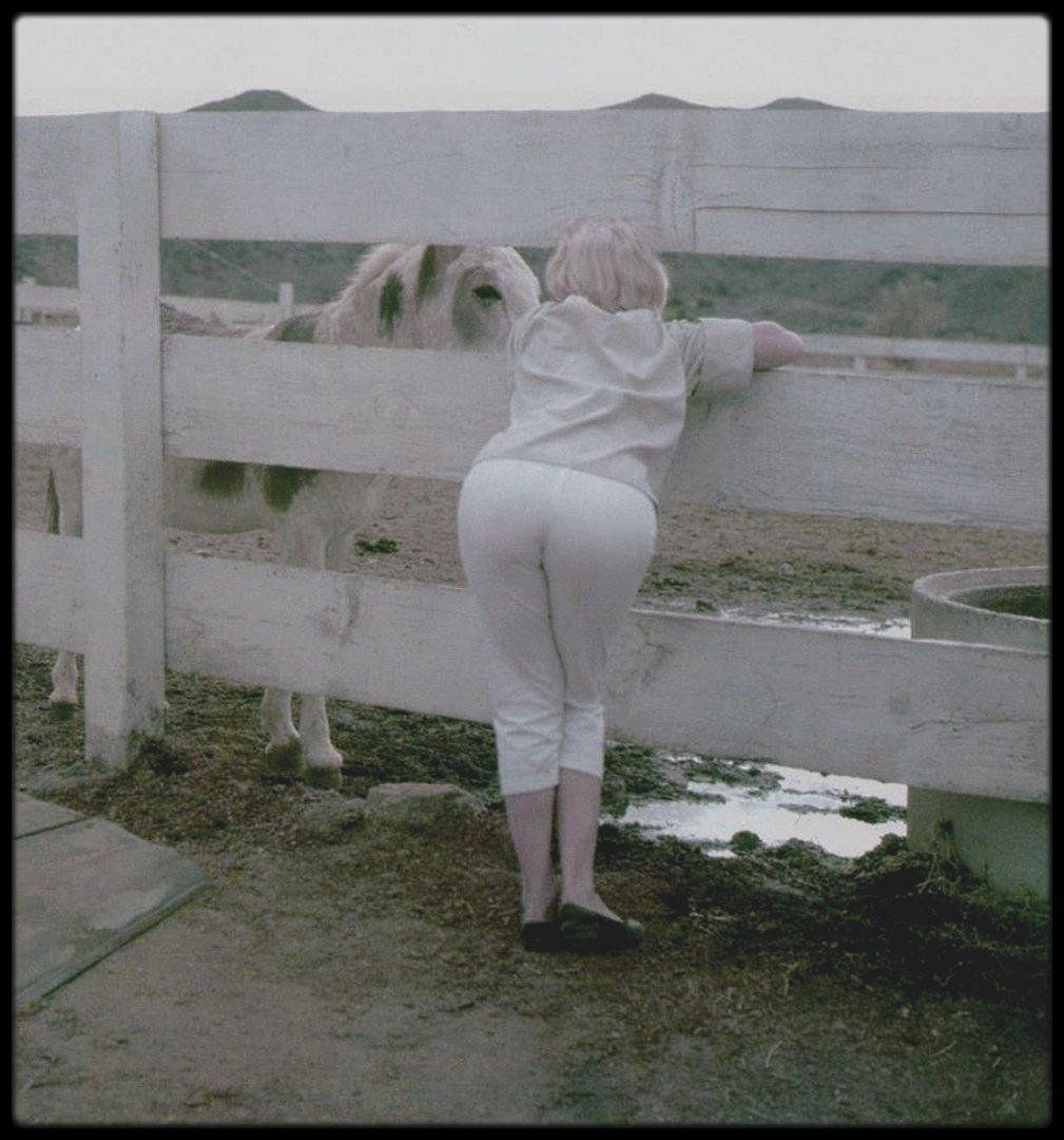 Marilyn Monroe Ass