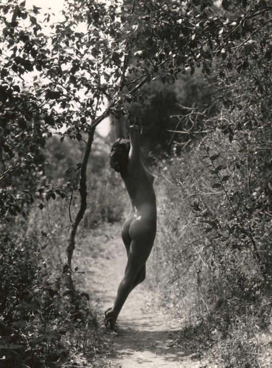 Model Photographed By Edwin Bower Hesser C 1920s 30s NSF