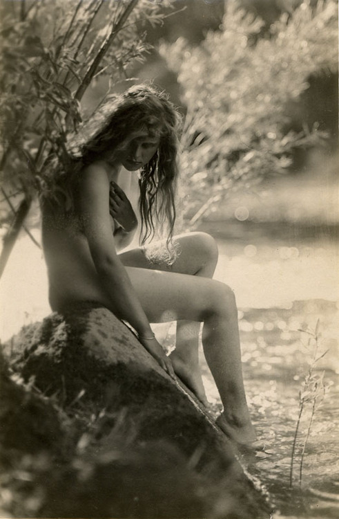 Molly Photographed By Albert Arthur Allen Ca 1920s NSF