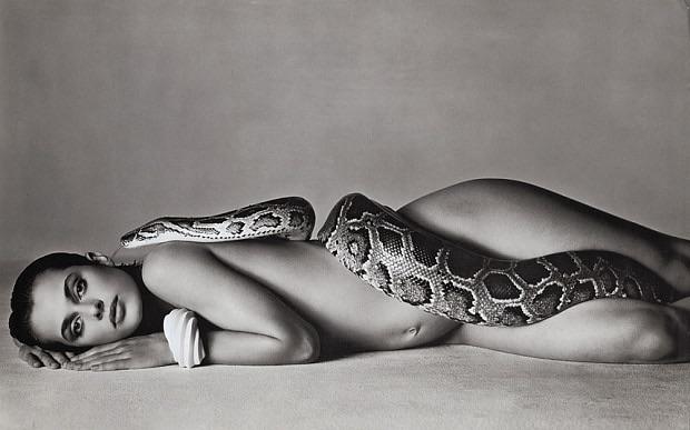 Nastassja Kinski And The Serpent Photograph By Richard Avedon 1981 NSF