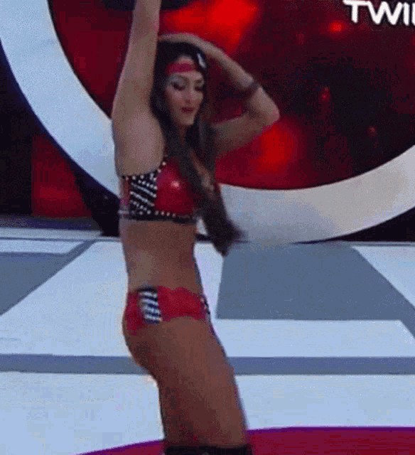 Nikki Bella NSFW