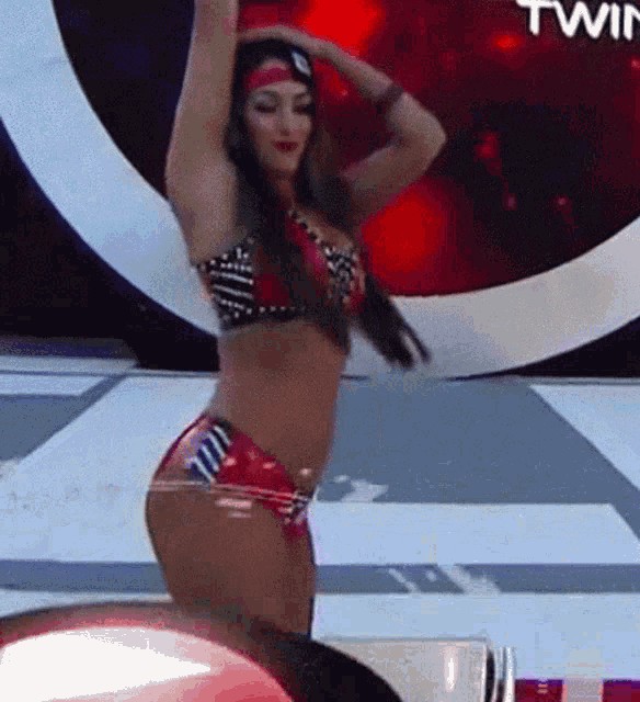 Nikki Bella NSFW