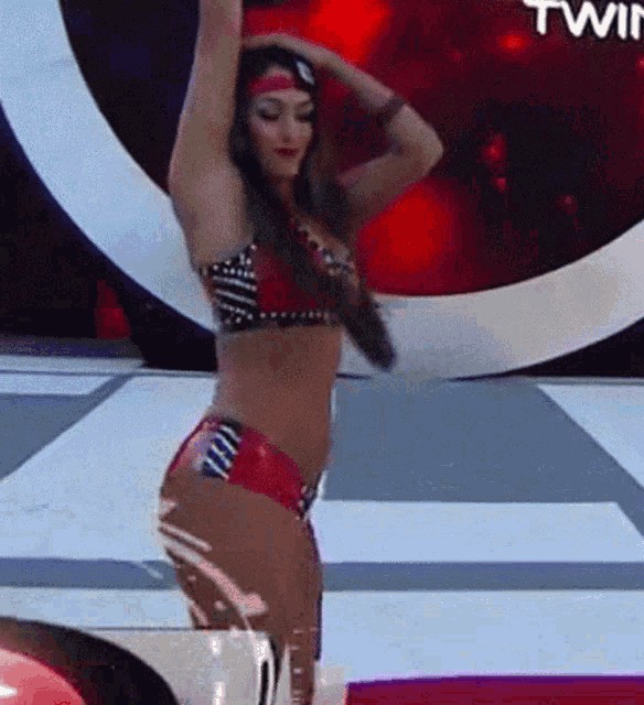 Nikki Bella NSFW