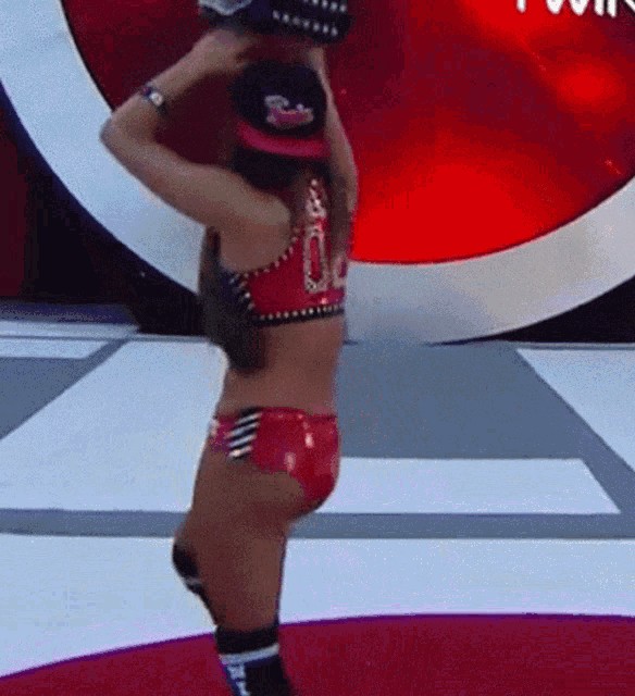 Nikki Bella NSFW