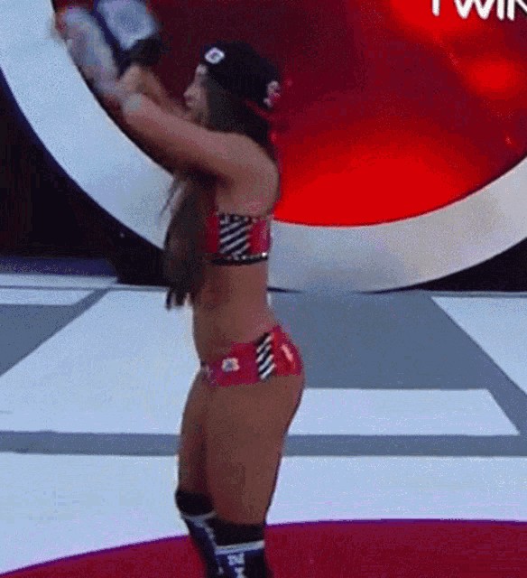 Nikki Bella NSFW