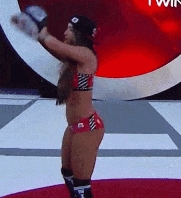 Nikki Bella NSFW