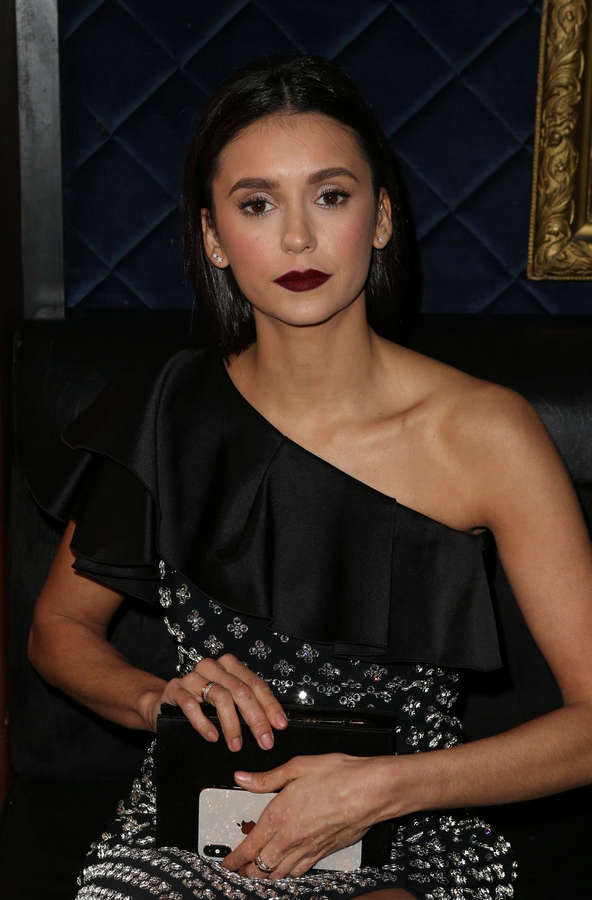 Nina Dobrev NSFW