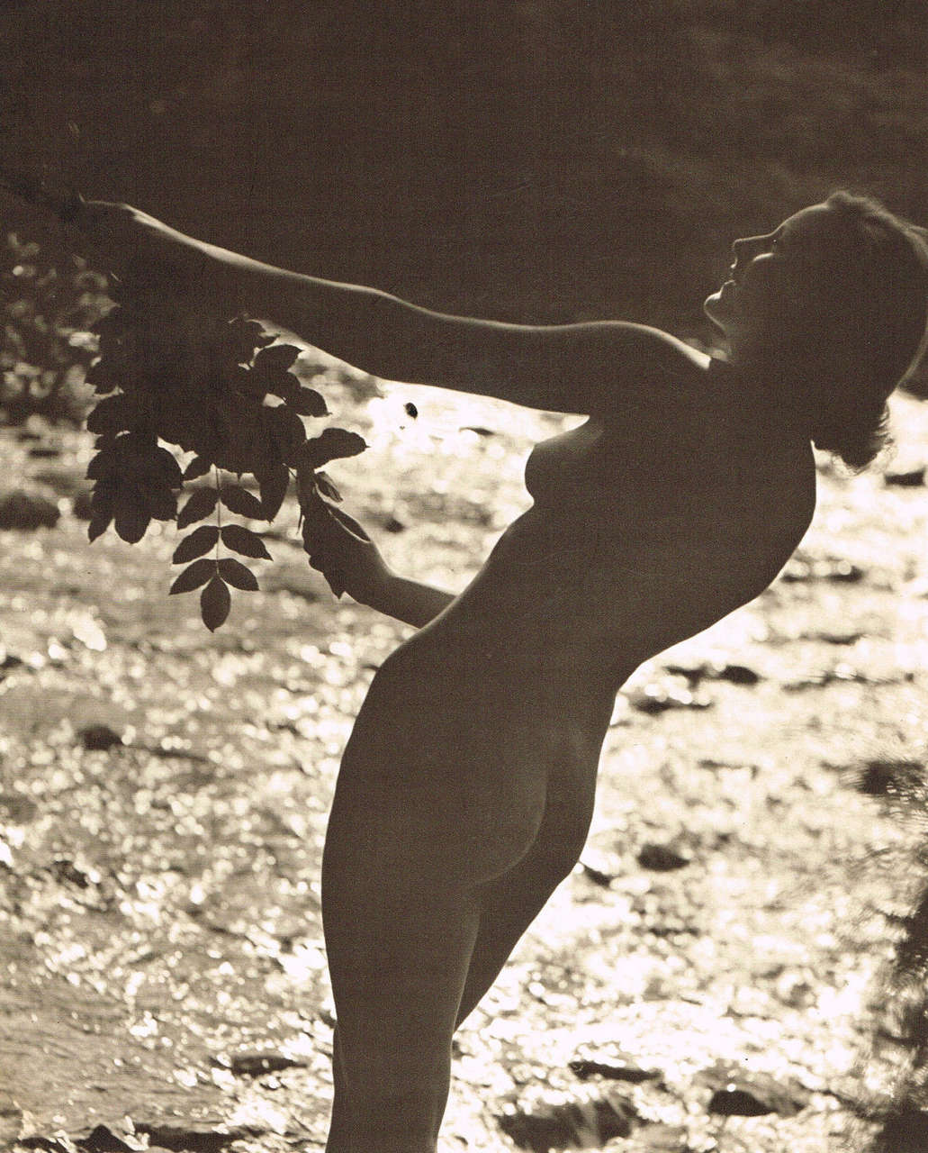 Nude At Dusk Photographed By John Everard C 1940 NSF