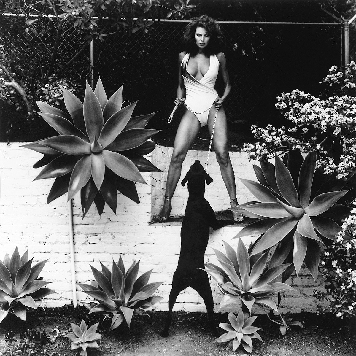 Raquel Welch Photo By Helmut Newton Beverly Hills 1980 NSF