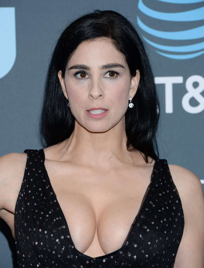 Sarah Silverman NSFW