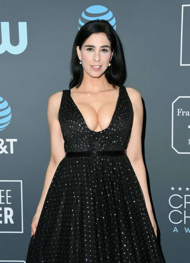 Sarah Silverman NSFW