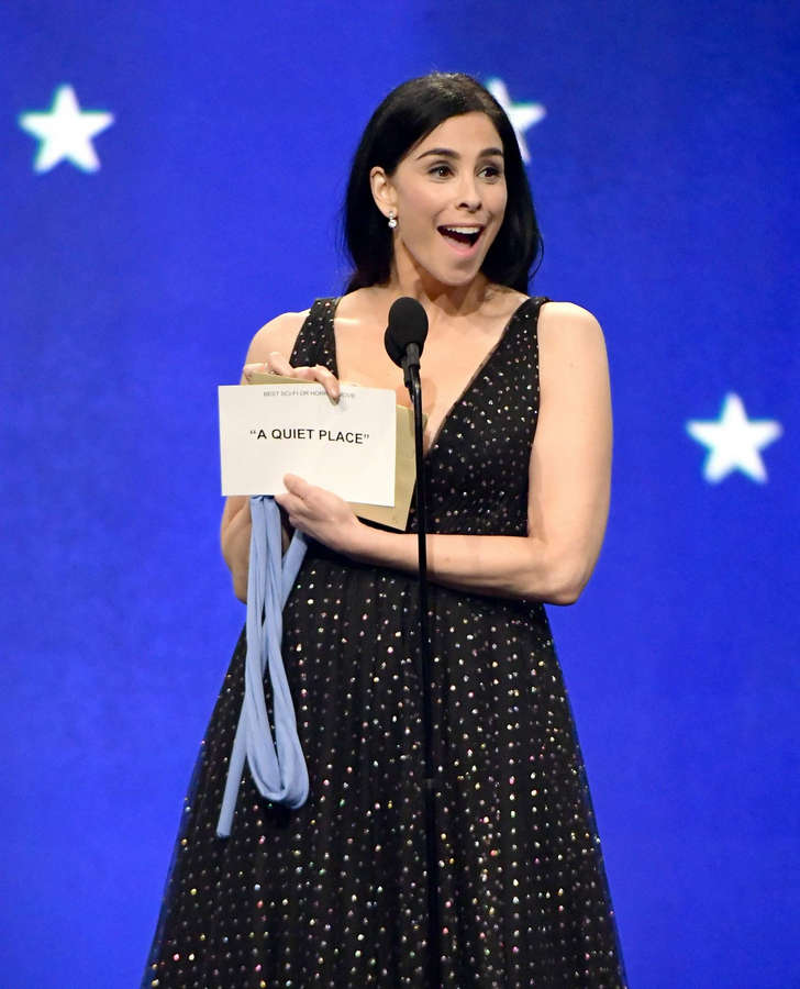 Sarah Silverman NSFW