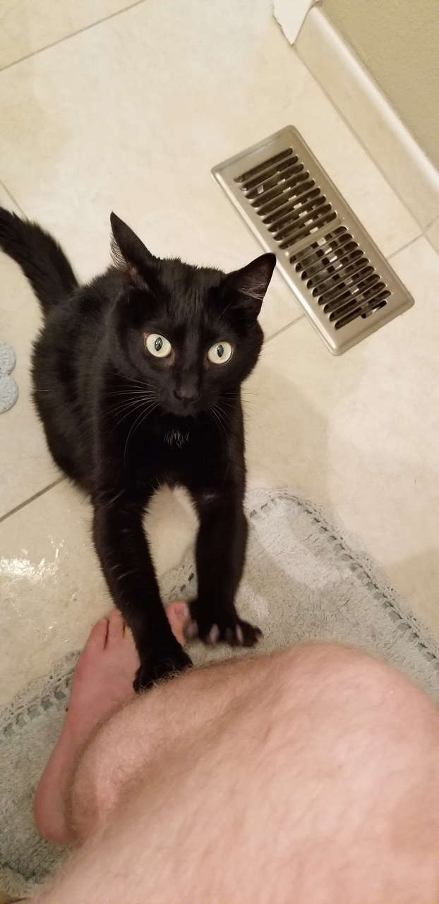 She Is Always Concerned When Youre Using The Bathroom NSFW