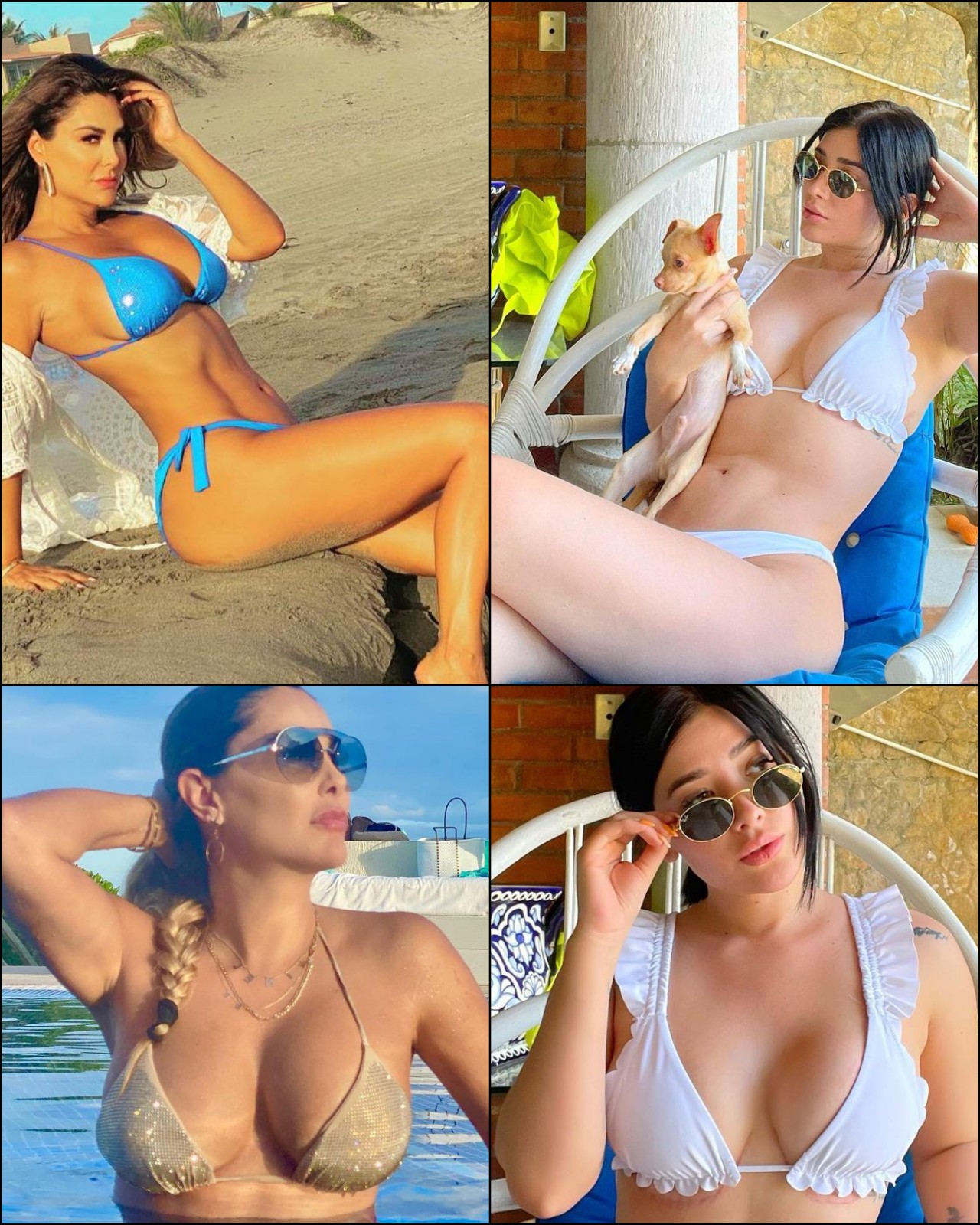 Si Pelean Quien Gana Ninel Conde Vs Brenda Zambrano NSF